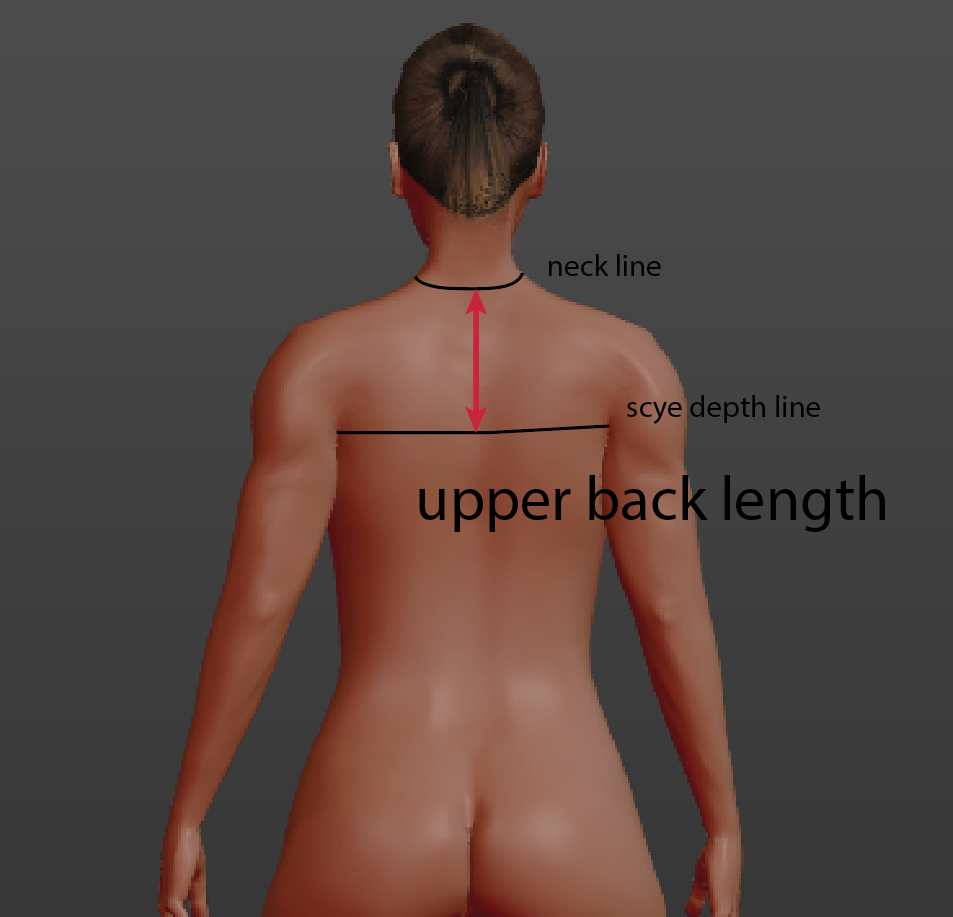 Upper back length