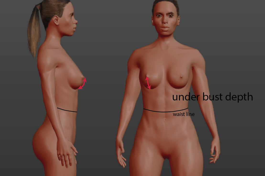 Underbust dept