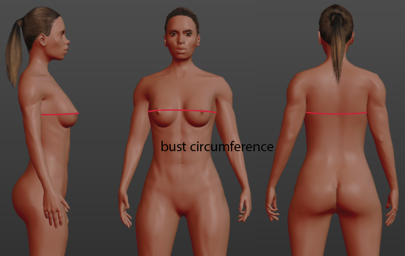 Bust circumference